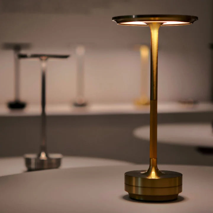 Closeup of Elegant Cordless Table Lamp